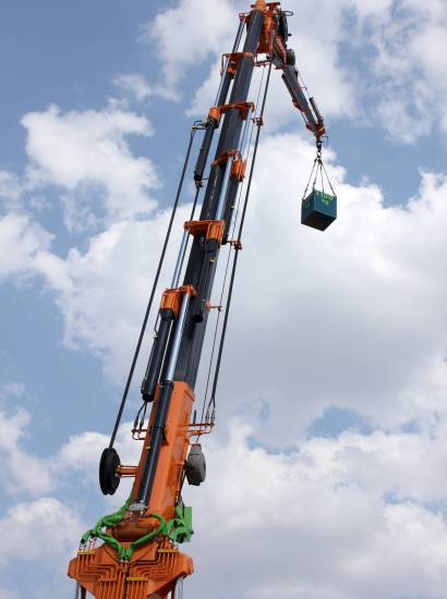 Crane hook and container